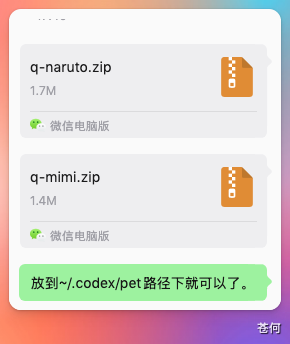CodexGuide 原教程配图